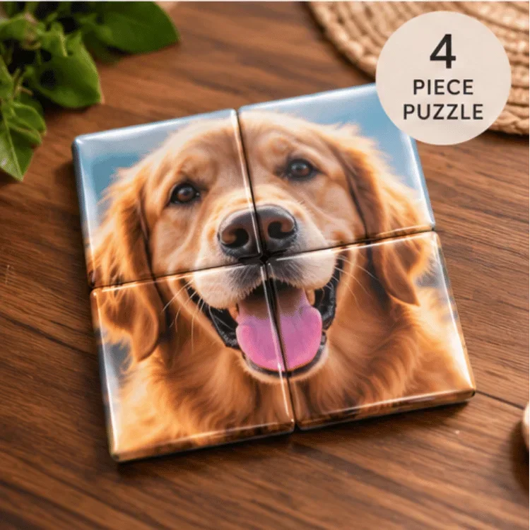 NJCLICK Magnet Puzzle - 4 Piece